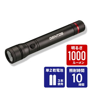 WFgX nfBg[` NV[h323D RX-323D