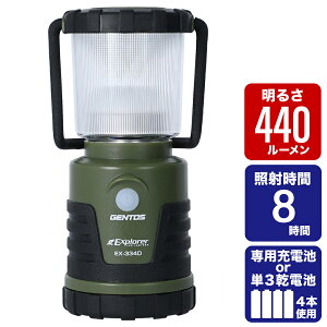 WFgX ^ GNXv[334D EX-334D