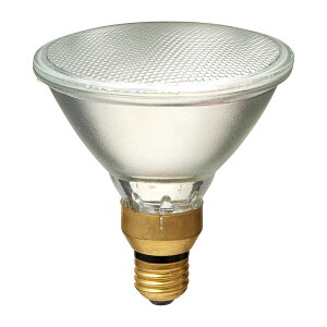 エルパ ハロゲンビームランプ散光90W EBRF110V90W