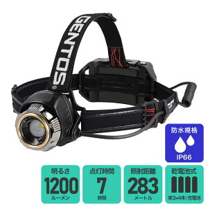 WFgX GV[YwbhCg GH-200RG