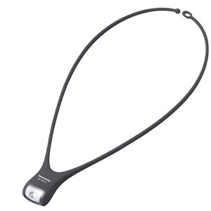 pi\jbN LEDlbNCg BF-AF15P-HK
