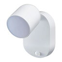 エルパ LED ナイトライト 乾電池式 明暗＆人感センサー 白色光・電球色光 防沫形 PM-L751W