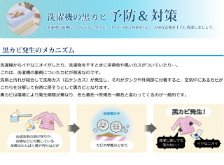 【2個セット】パナソニック洗濯槽クリーナー縦型洗濯機用1500mlN-W1Panasonic純正塩素系洗浄液