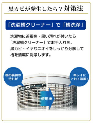 【2個セット】パナソニック洗濯槽クリーナー縦型洗濯機用1500mlN-W1Panasonic純正塩素系洗浄液