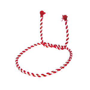 qp˂蔫(/) Œ^ Ղpi  X Cxg čՂ HՂ ܂  ͂܂