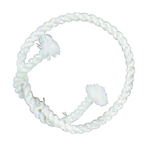 ɑ˂蔫 () Œ^ 悳 Ղpi YOSAKOI čՂ HՂ  X Cxg ܂  ͂܂