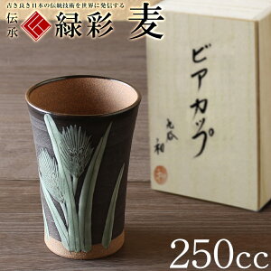 hV̓ J Ď v[g  rAJbv ^u[ r[OX250cc y WbL җj ސEj j 蕨 yA vw a ސEj v[g j Ê 