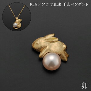 K18^AR^ xy_g K ʒP[Xt ( iH|j  WG[ lbNX fB[X `[ iH|j  oY j o  av