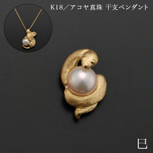 K18^AR^ xy_g  ʒP[Xt ( iH|j  WG[ lbNX fB[X `[ iH|j  oY j o  av