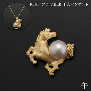 K18^AR^ xy_g  ʒP[Xt ( iH|j  WG[ lbNX fB[X `[ iH|j  oY j o  av