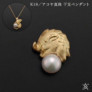 K18^AR^ xy_g  ʒP[Xt ( iH|j  WG[ lbNX fB[X `[ iH|j  oY j o  av