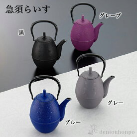 【LINE友達で300円OFFクーポン】 急須 らいす 選べる4色/黒/グレープ/ブルー/グレー 600ml 茶こし付 ( 岩鋳 母の日 早割 プレゼント 初任給 ティーポット お茶 煎茶 日本茶 おすすめ 南部鉄器 結婚 出産 内祝い 引き出物 金婚式 誕生日プレゼント 還暦祝い 古希 喜寿 )