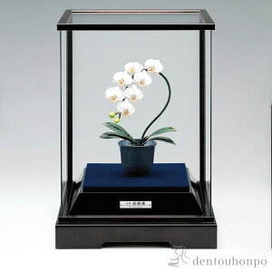 ␻ Ӓ  53g ( v[gL  RNV pi H|i ` iH|j N n  vH JX ړ] J v[g j Ԃ  ߘa CO 