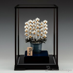 y5%OFFN[| { 23:59܂Łz ␻ Ӓ 3{ DE250g ( v[gL ؎DL  RNV pi H|i ` iH|j N n  vH JX 