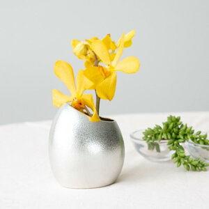 y11%OFFN[| {23:59܂Łzԕr ܂ S ( \ KX t[x[X Ԋ ֑}   N n  vH JX ړ] J v[g j Ԃ  ߘa C