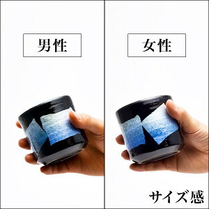 【九谷焼】【色いろカップ・銀彩(ペア)】
