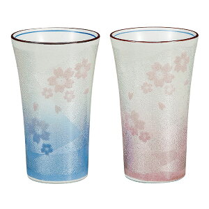 yLINEo^300~N[|z J t[Jbv ʂ yA ( ĒOX rAJbv r[OX t[Jbv OX Zbg J  oY j o  av