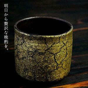 【LINE登録で300円クーポン】 九谷焼 色いろカップ 金箔彩 ( 和窯 色いろカップ 木箱名入れ有料 焼酎グラス ビアカップ ビールグラス フリーカップ グラス 九谷焼 結婚 出産 内祝い 引き出物