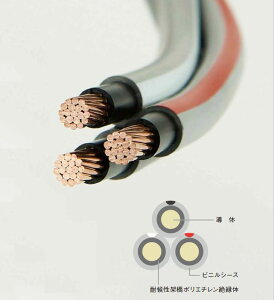 Vij[XbgP[u@14SQx3C@30m@όCVT^P[u@^c^d̎\