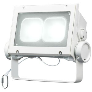 岩崎電気  レディオック フラッド ネオ ECF6040SW/NSAN8/W 昼白色タイプ 60クラス 超広角タイプ ホワイト