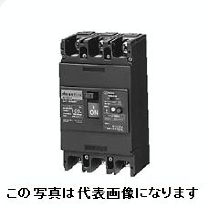 楽天市場】日東工業 GE223 3P 200A FVH ELB 定格感度電流100/200/500mA 