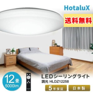 �z�^���N�X LED�V�[�����O���C�g �`12���p �����^�C�v �����F HLDZ12258