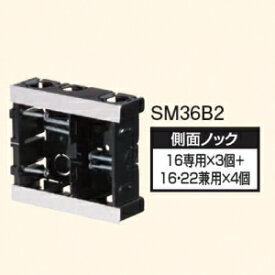 日動電工 【ケース販売特価 10個セット】 配ボックス 台付型 Bシリーズ 2個用 SM36B2_set