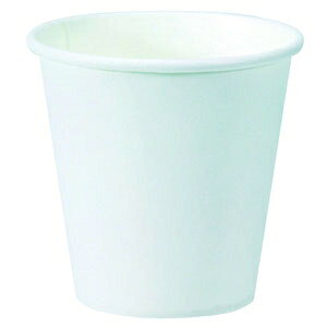 T pRbv 3IX 100 51060