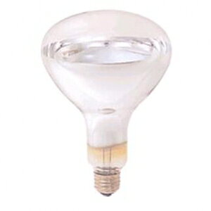 dC AC R`ԊOd 110V 250W E26 IR100/110V250WRH