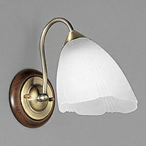 �I�[�f���b�N LED�u���P�b�g���C�g �����FLED ���M�����100W���� LED�d����ʌ` ����E26 �����F OB080246NR