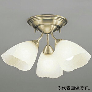 I[fbN LEDVfA FLED M100W×3 LEDdʌ` 3 E26 OC006506NR