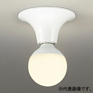 I[fbN LED^V[OCg FLED LEDd{[` E26 F OL218036NR