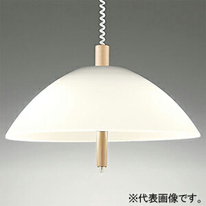 I[fbN LED蓮~^y_gCg FLED M100W×2 LEDd{[` 2 26 OP087150NR