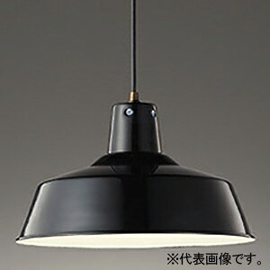 I[fbN LEDy_gCg FLED M100W LEDd{[` E26 F OP252323NR