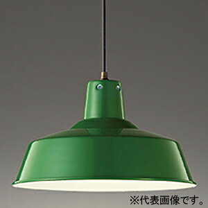 I[fbN LEDy_gCg FLED M100W LEDd{[` E26 F OP252324NR