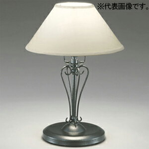 I[fbN LEDX^hCg FLED LEDdʌ` E26 F OT022125NR