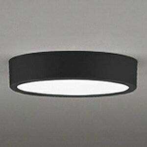 �I�[�f���b�N LED�_�E�����C�g ��FLAT PLATE�� R15 �N���X2 ���M�����100W�N���X OL291367BR