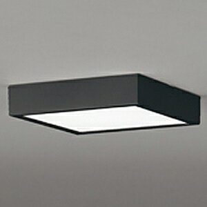 �I�[�f���b�N LED�_�E�����C�g ��FLAT PLATE�� �p�^ R15 �N���X2 OL291396BR