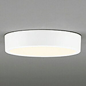 �I�[�f���b�N LED�_�E�����C�g ��FLAT PLATE�� R15 �N���X2 ���M�����100W�N���X OL291140R