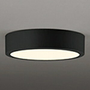 �I�[�f���b�N LED�_�E�����C�g ��FLAT PLATE�� R15 �N���X2 ���M�����60W�N���X OL291143R