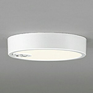 �I�[�f���b�N LED�_�E�����C�g ��FLAT PLATE�� R15 �N���X2 ���M�����100W�N���X OL251759R