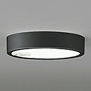 �I�[�f���b�N LED�_�E�����C�g ��FLAT PLATE�� R15 �N���X2 ���M�����100W�N���X OL251760R