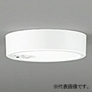 �I�[�f���b�N LED�_�E�����C�g ��FLAT PLATE�� R15 �N���X2 ���M�����60W�N���X OL251780R