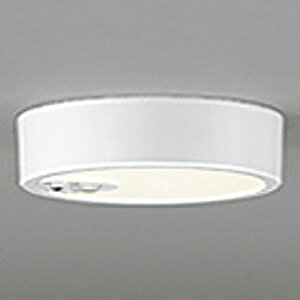 �I�[�f���b�N LED�_�E�����C�g ��FLAT PLATE�� R15 �N���X2 ���M�����60W�N���X OL251781R