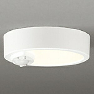 �I�[�f���b�N LED�V�[�����O�_�E�����C�g ��FLAT PLATE�� R15 �N���X2 ���M�����60W�N���X OL291445R