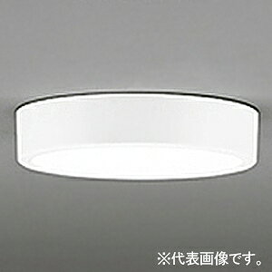 �I�[�f���b�N LED�_�E�����C�g ��FLAT PLATE�� R15 �N���X2 ���M�����100W�N���X OL251858R