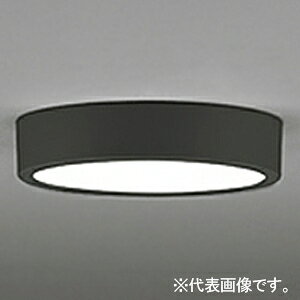 �I�[�f���b�N LED�_�E�����C�g ��FLAT PLATE�� R15 �N���X2 ���M�����100W�N���X OL251752R