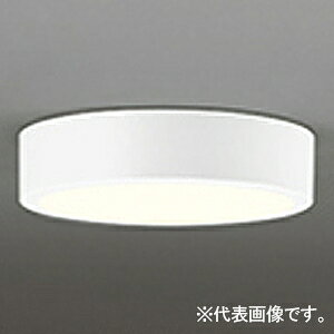 �I�[�f���b�N LED�_�E�����C�g ��FLAT PLATE�� R15 �N���X2 ���M�����60W�N���X OL251360R