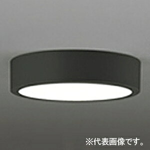 �I�[�f���b�N LED�_�E�����C�g ��FLAT PLATE�� R15 �N���X2 ���M�����60W�N���X OL251774R