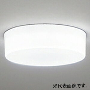 �I�[�f���b�N LED�V�[�����O�_�E�����C�g �S�z���^�C�v R15 �N���X2 ���M�����100W�N���X LED��̌^ OL291136R